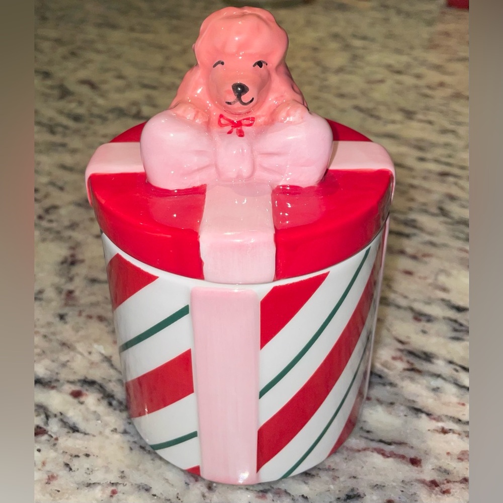 Ashland Pink & Red Candy-Stripe Ceramic Jar with Lid
